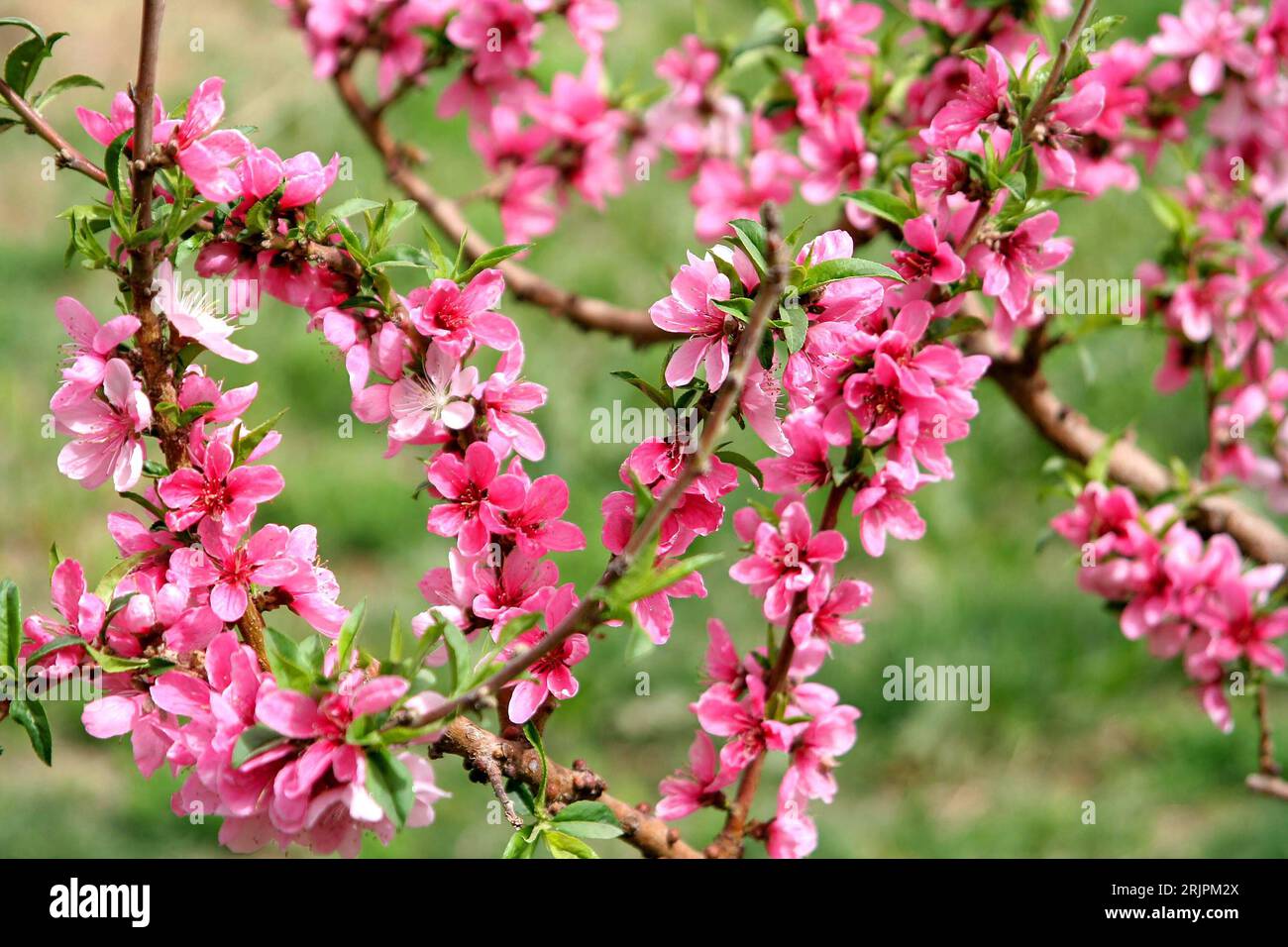 20 04 2006 hires stock photography and images Alamy