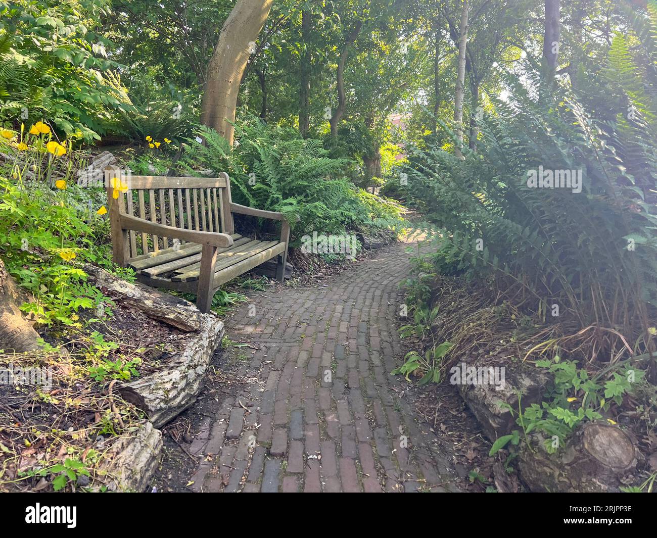 Wooden bench near pathway in beautiful park Stock Photo - Alamy