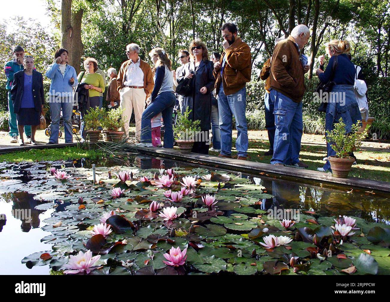 Teich mit seerosen hires stock photography and images Alamy