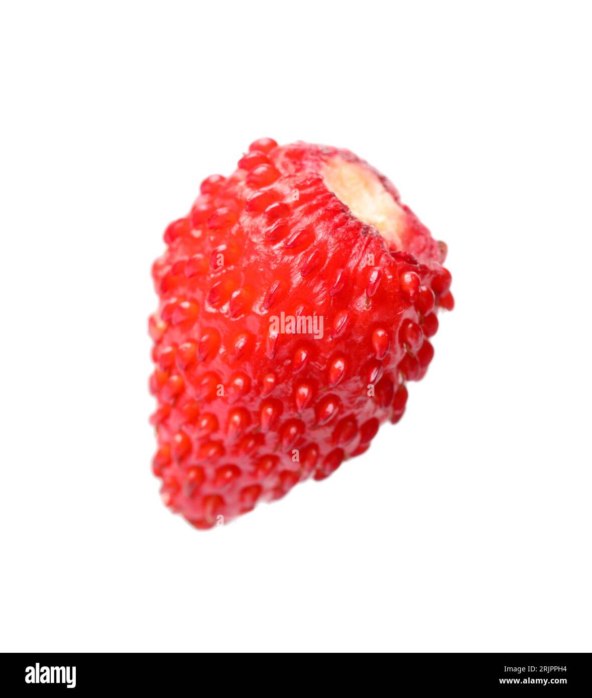One ripe wild strawberry isolated on white Stock Photo - Alamy