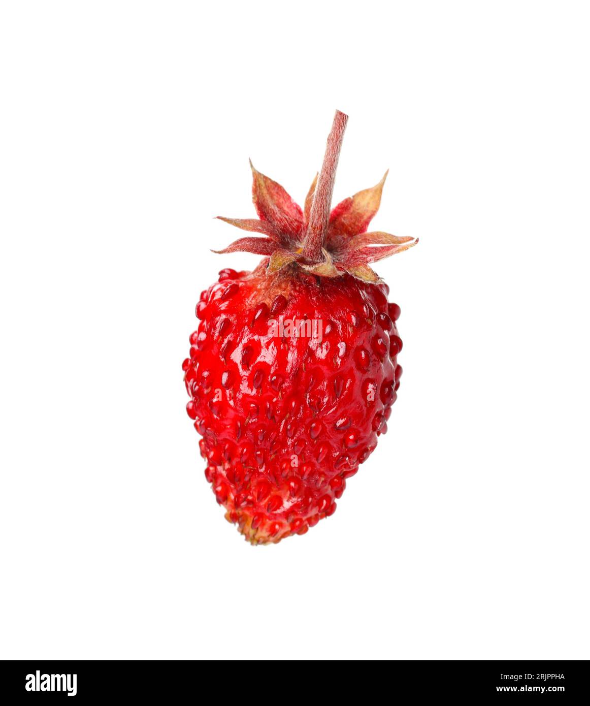 One ripe wild strawberry isolated on white Stock Photo - Alamy