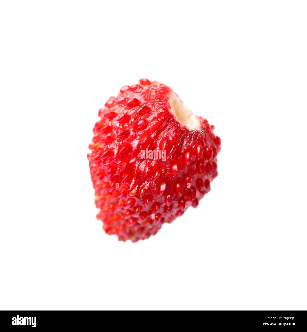 One ripe wild strawberry isolated on white Stock Photo - Alamy
