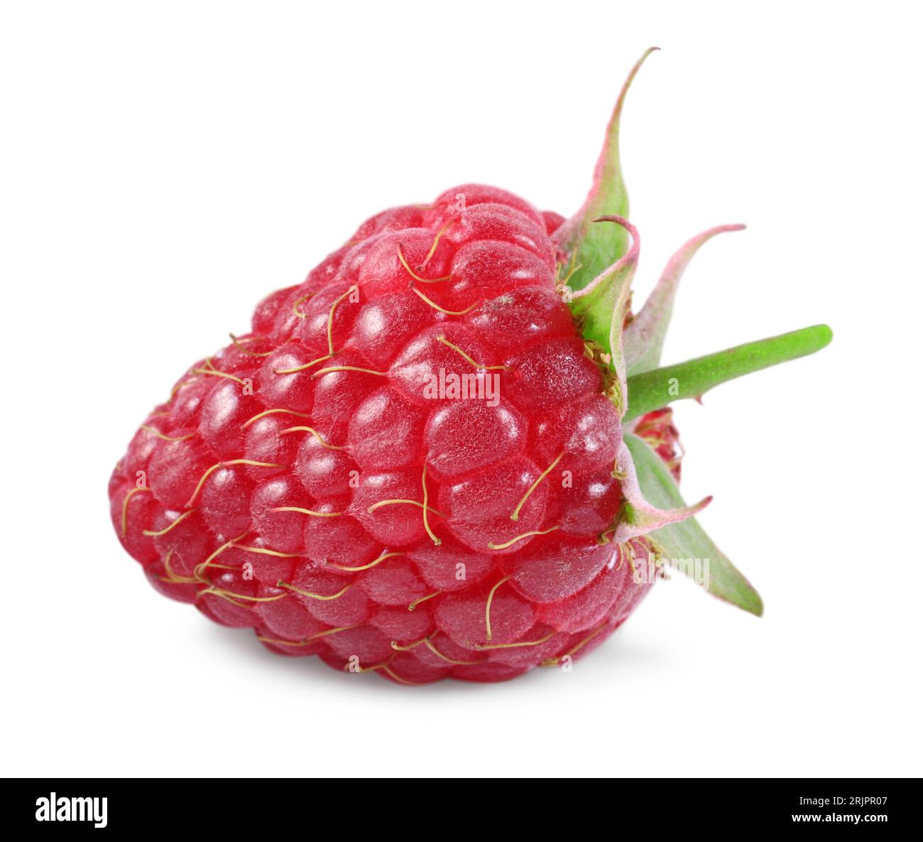 One tasty ripe raspberry isolated on white Stock Photo - Alamy