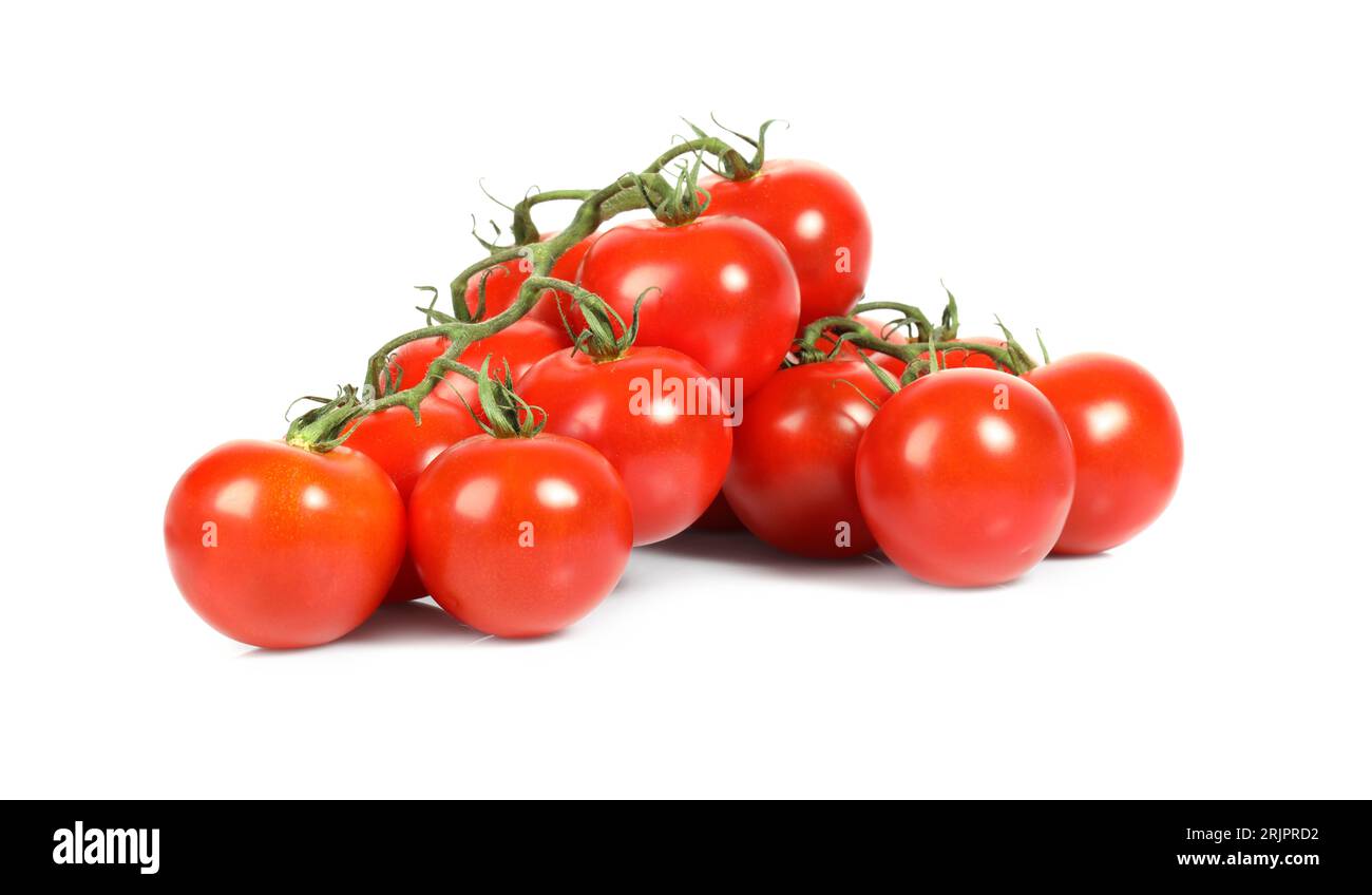 Branches with ripe cherry tomatoes isolated on white Stock Photo - Alamy