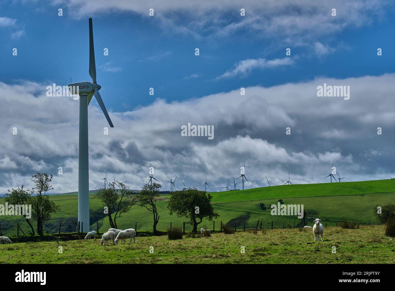 Wind Turbine on Panty Hill, near the Kerry Ridgeway, Powys, Wales Stock Photo