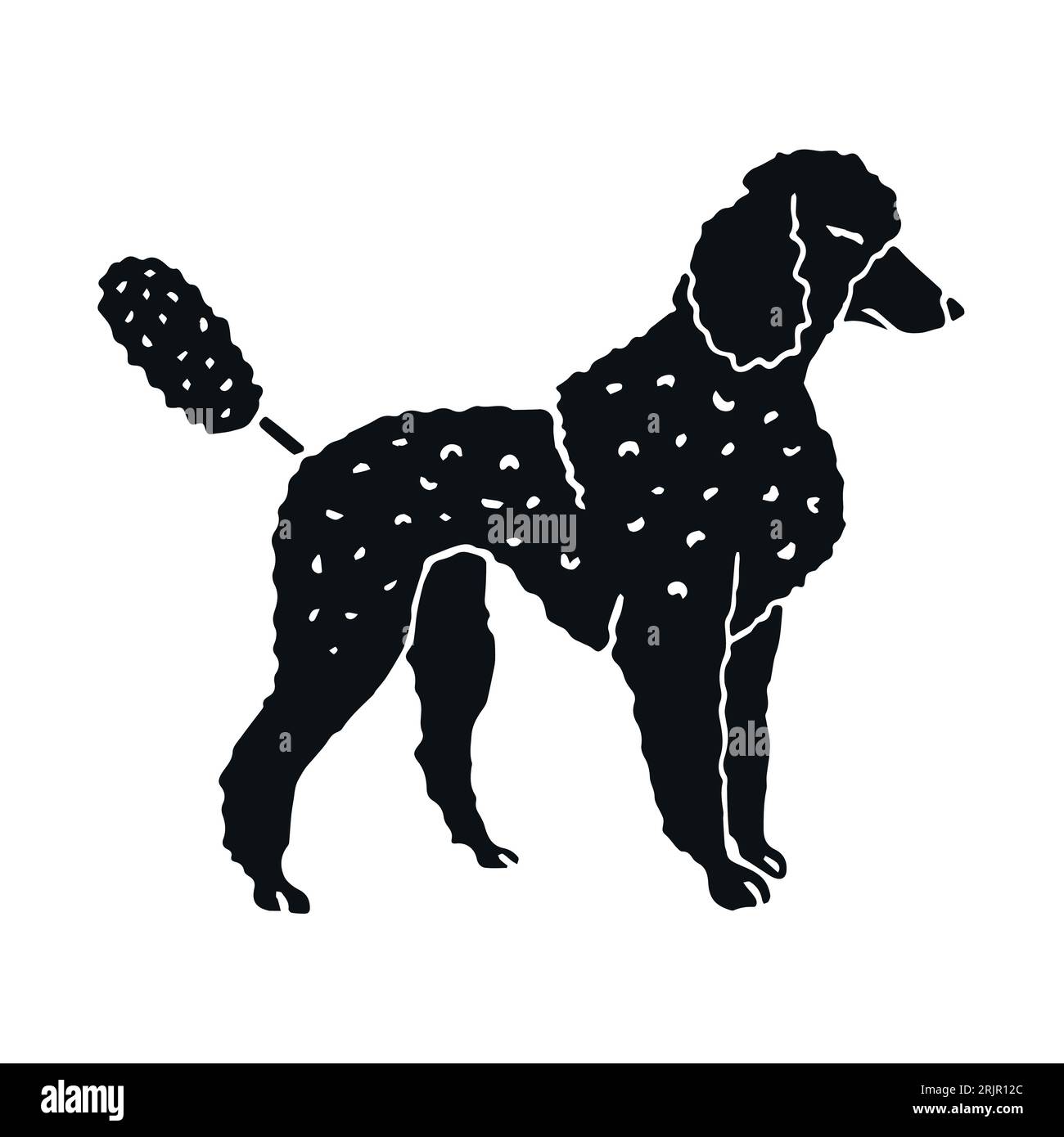 Vector hand drawn doodle sketch black poodle dog isolated on white ...