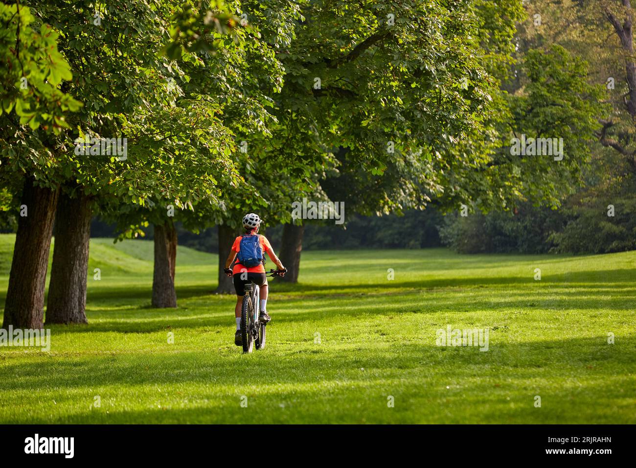 attractive senior woman cycling with her electric mountain bike in a beautiful old oak tree and chestnut avenue in Ludwigsburg, Baden-Wuerttemberg, Ge Stock Photo