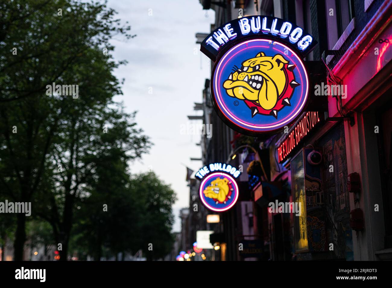 The Bulldog coffee shop in Amsterdam's red light district. Stock Photo