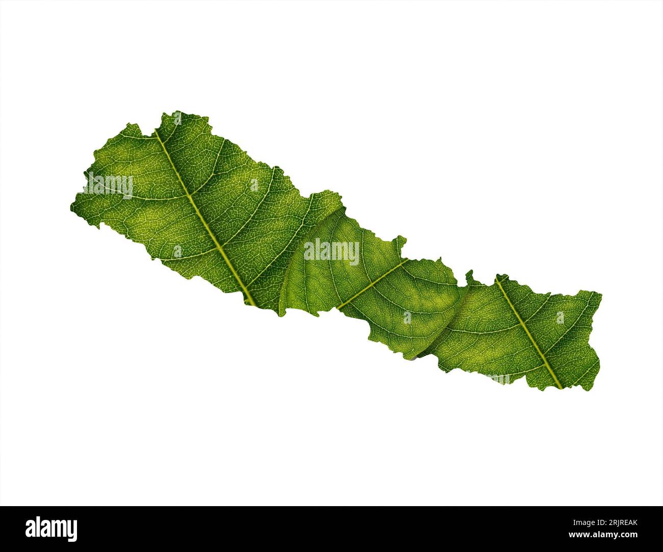 An illustration of Nepal map made of green leaves on a white background Stock Photo