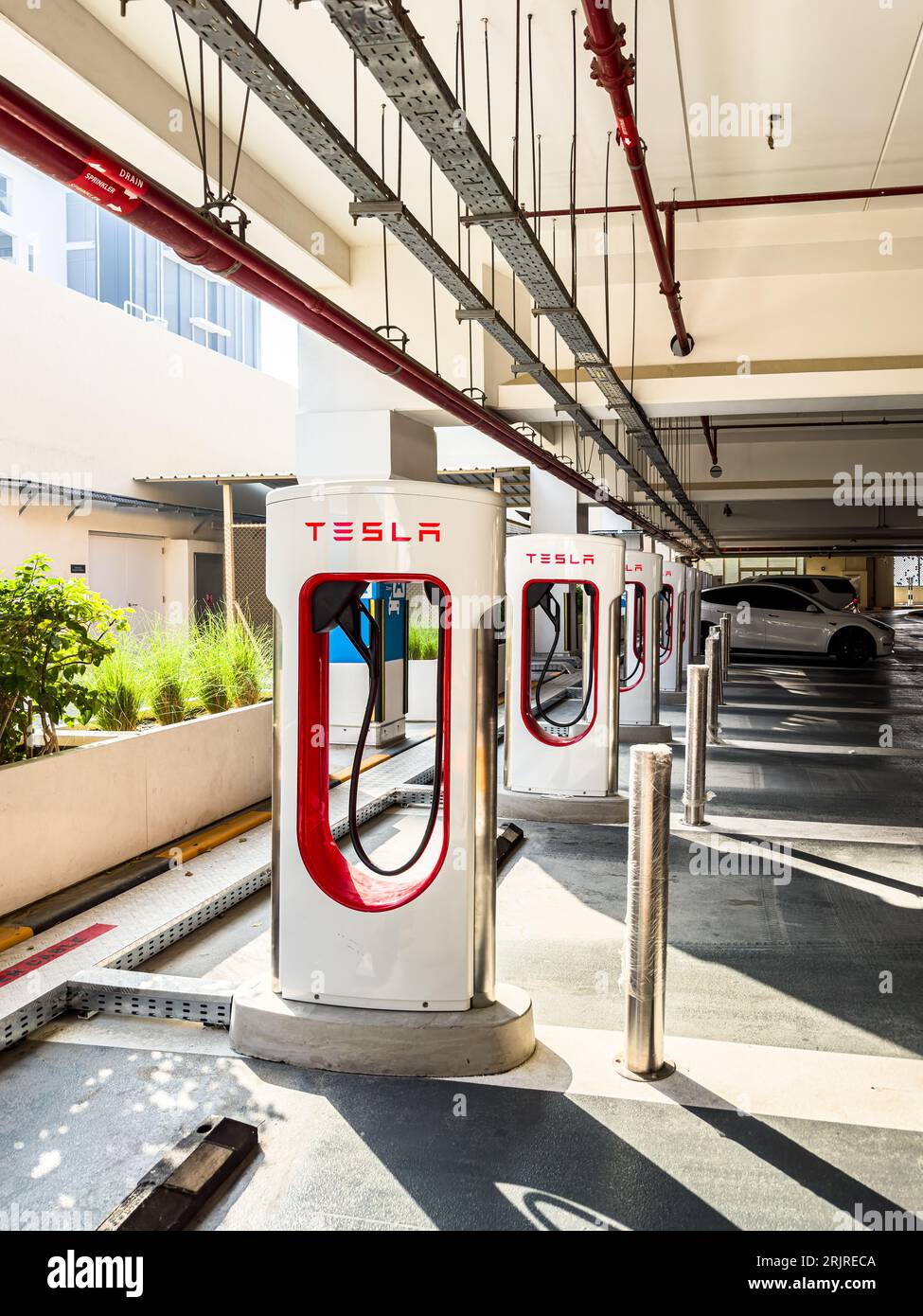 Tesla Charging stations in a mall parking lot at Masdar City, Abu Dhabi