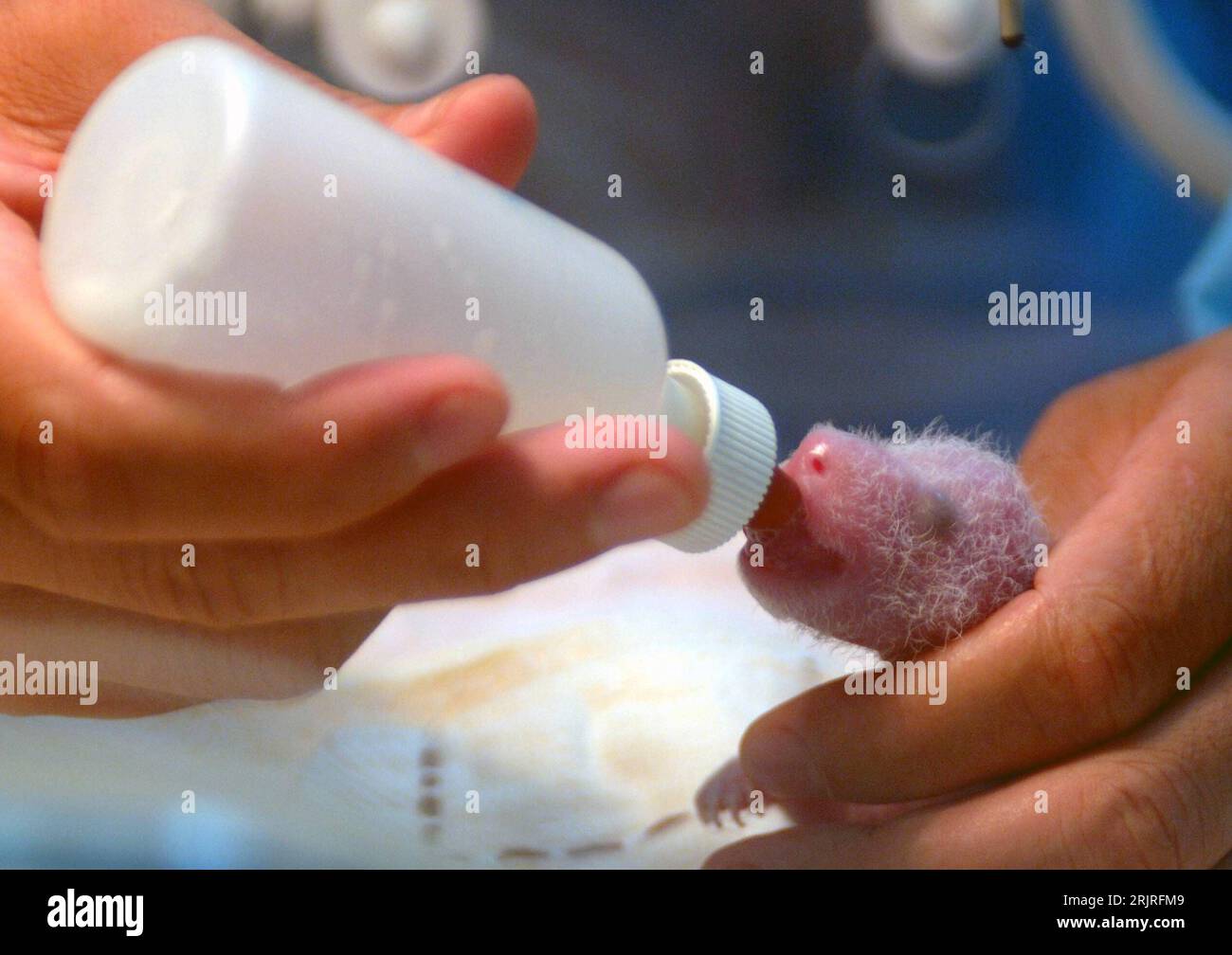 Aufzuchtstationen hires stock photography and images Alamy