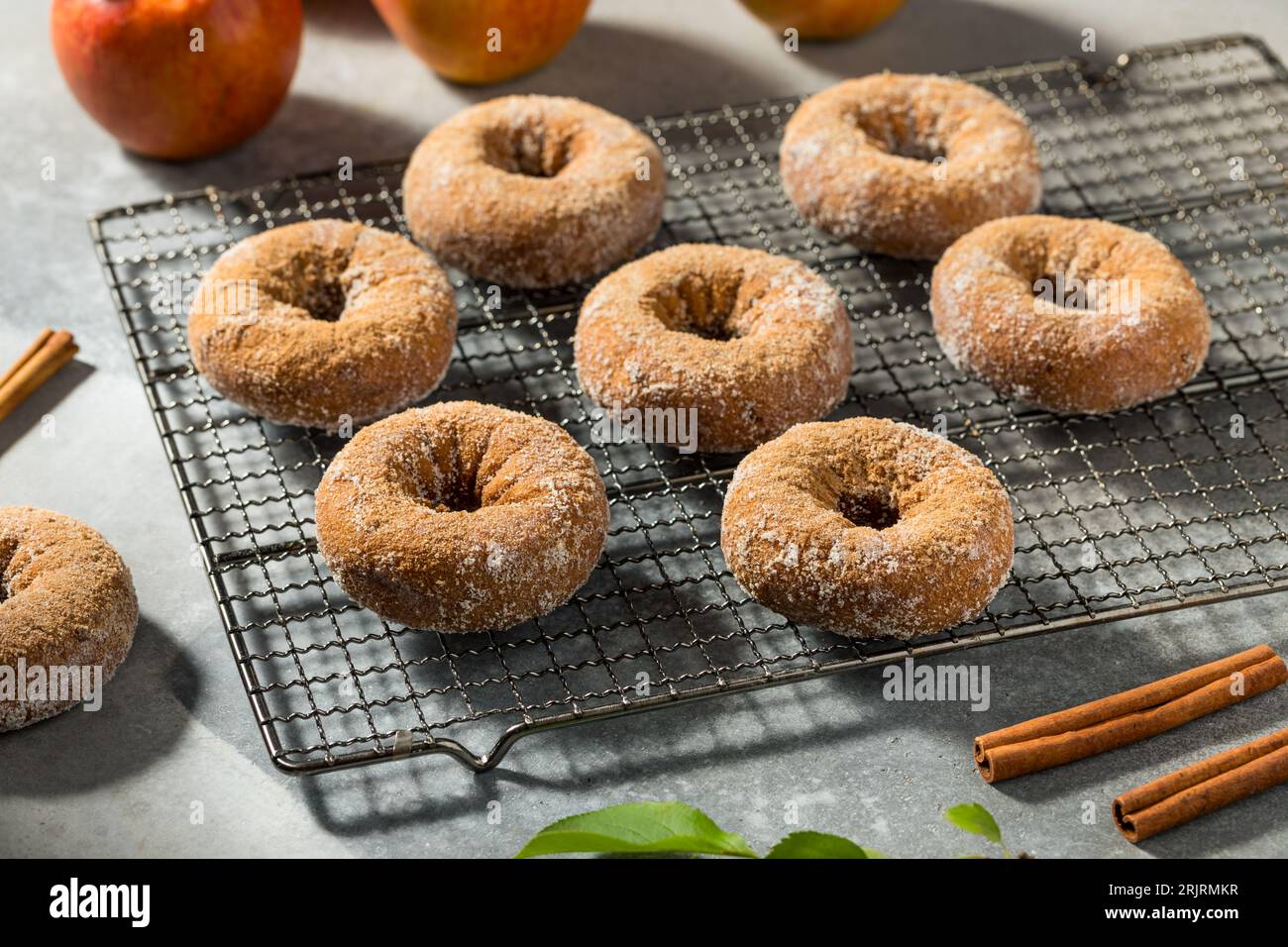 Sweet Homemade Apple Cider Donuts with Cinnamon and Sugar Stock Photo