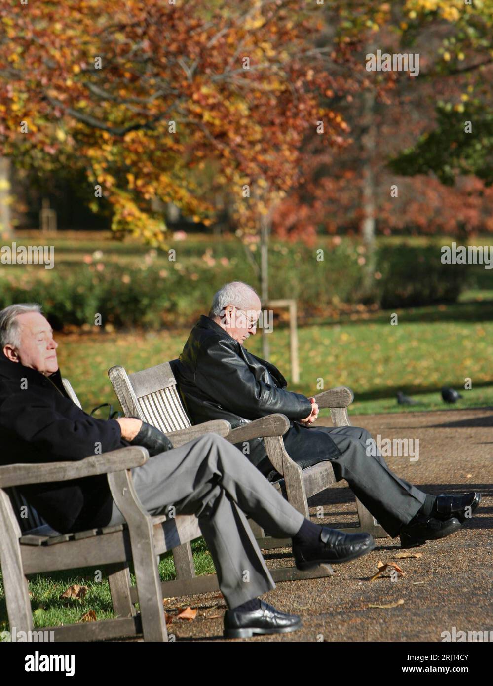 Senioren auf einer parkbank hi-res stock photography and images - Alamy