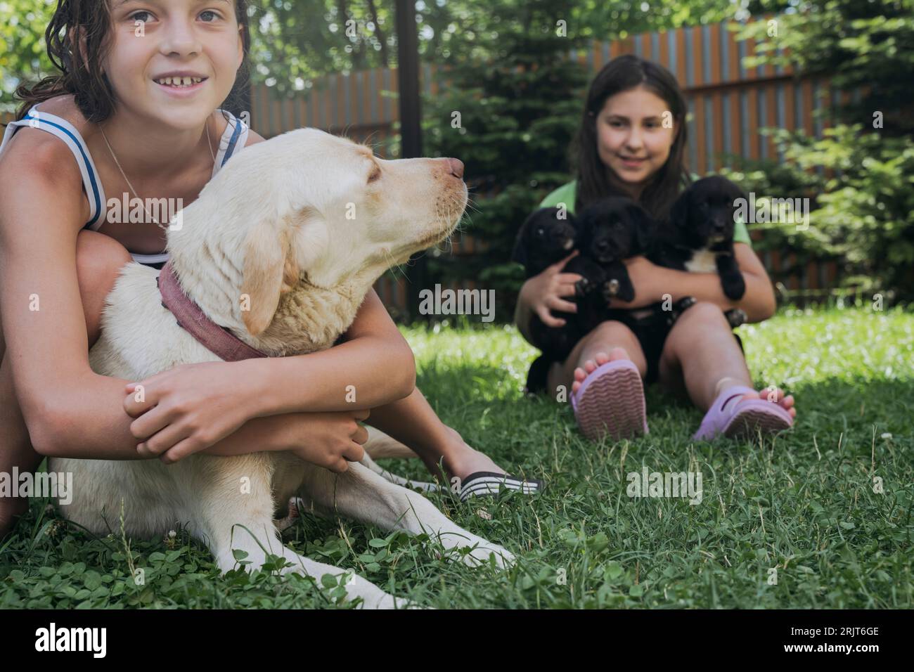Friends spending leisure time with dogs in back yard Stock Photo