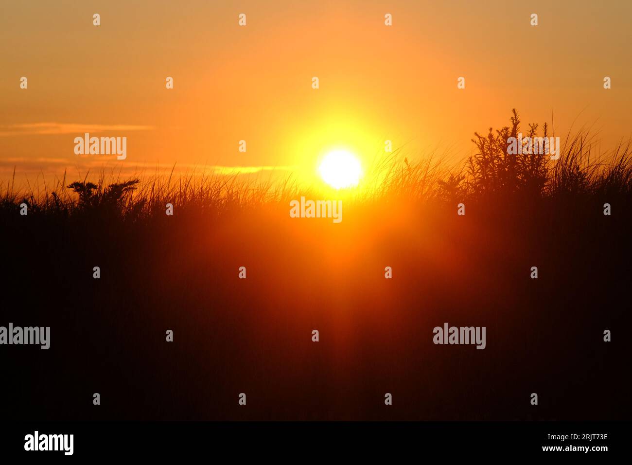Bradley Beach, United States. 23rd Aug, 2023. The sun rises over the dunes of the Jersey Shore, in New Jersey, United States on August 23, 2023. Credit: OOgImages/Alamy Live News Stock Photo