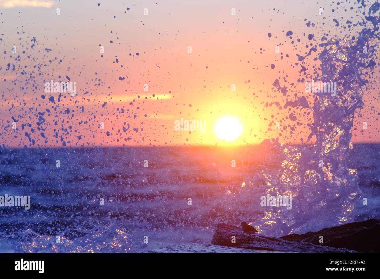 Bradley Beach, United States. 23rd Aug, 2023. Ocean waves splash up on the barrier as the sun rises on the horizon of the Atlantic Ocean in New Jersey, United States, on August 23, 2023. Credit: OOgImages/Alamy Live News Stock Photo