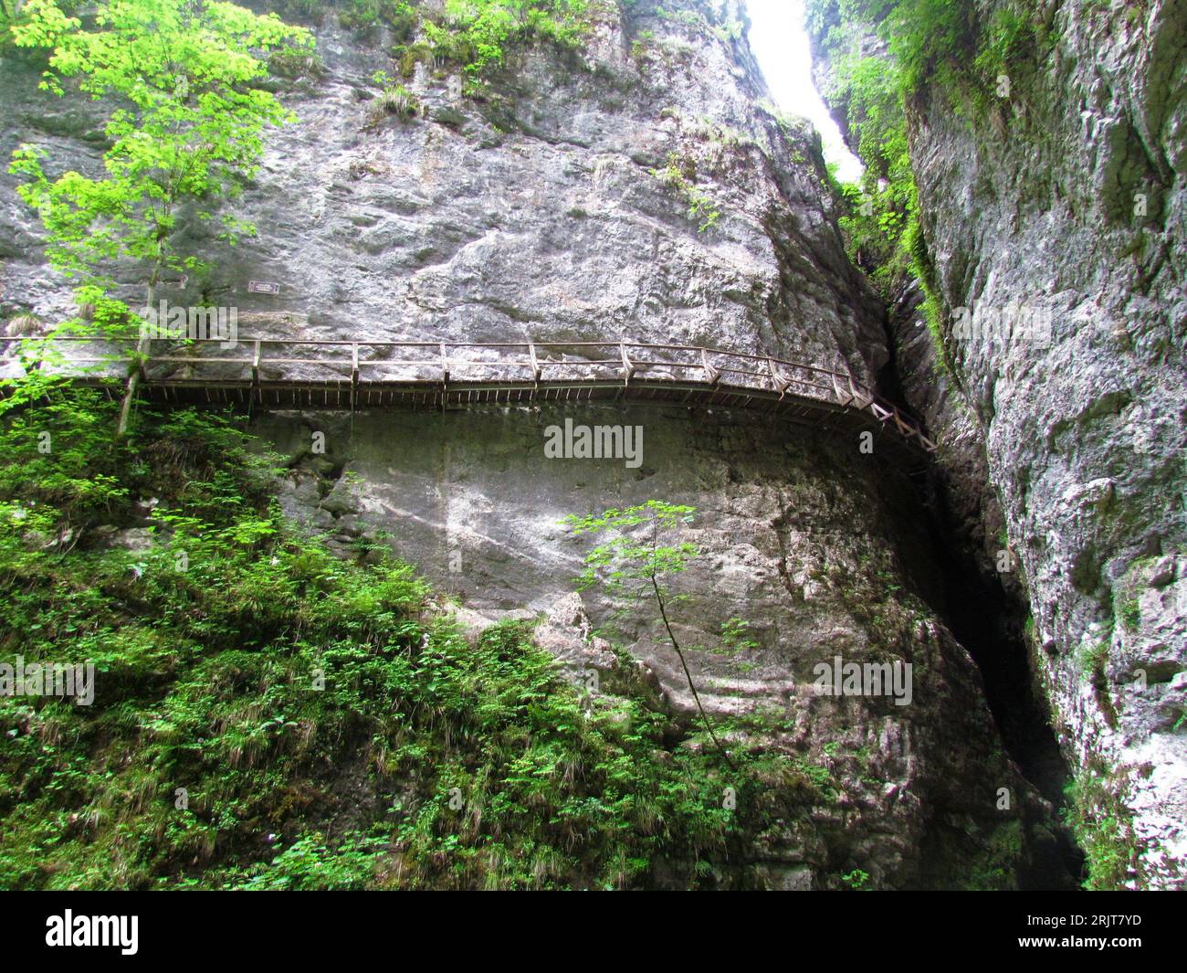Wooden walkway leading into a narrow cave passage, next to a vertical rock wall at Pokljuka gorge in Gorenjska, Slovenia Stock Photo