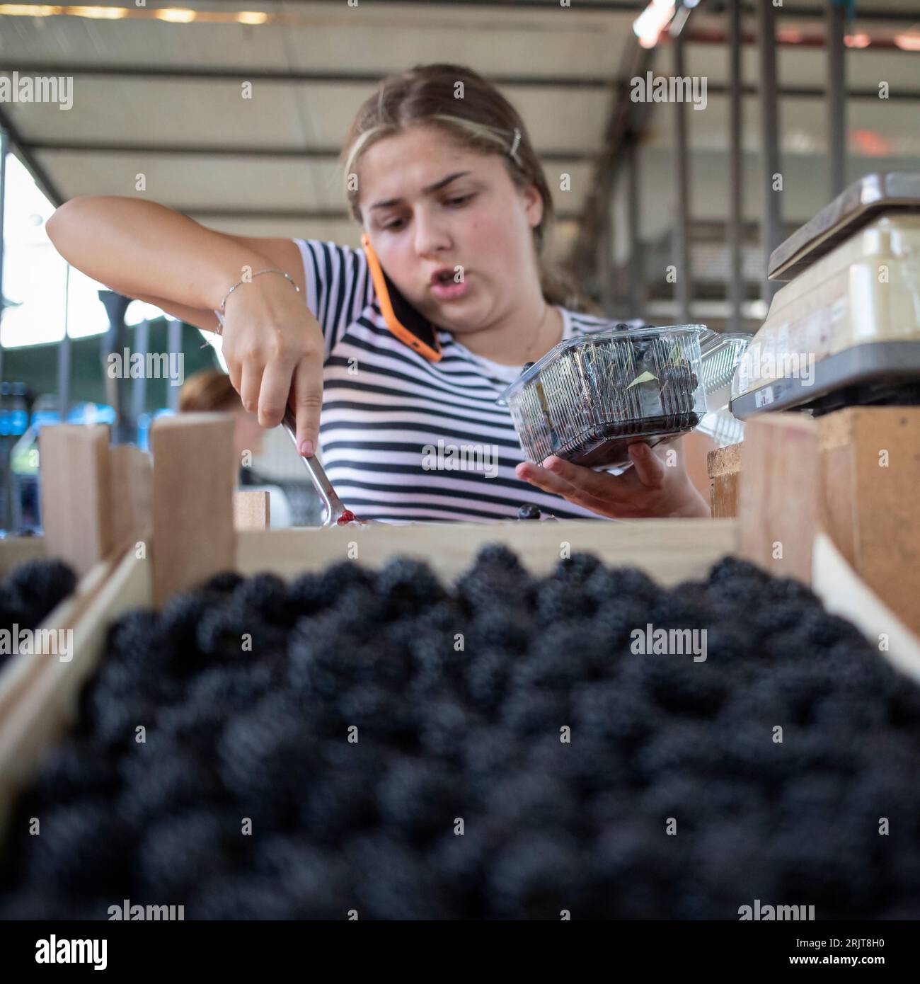 Belgrade, Serbia, Aug 19, 2023: A young woman, stallholder at a greenmarket, talking on the phone and serving a customer Stock Photo