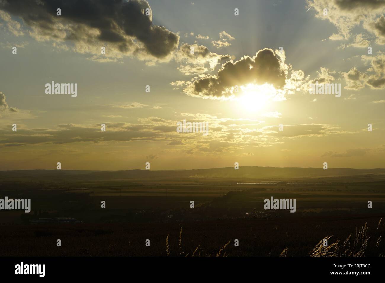 A scenic view of tall grass on a hill at golden hour Stock Photo - Alamy