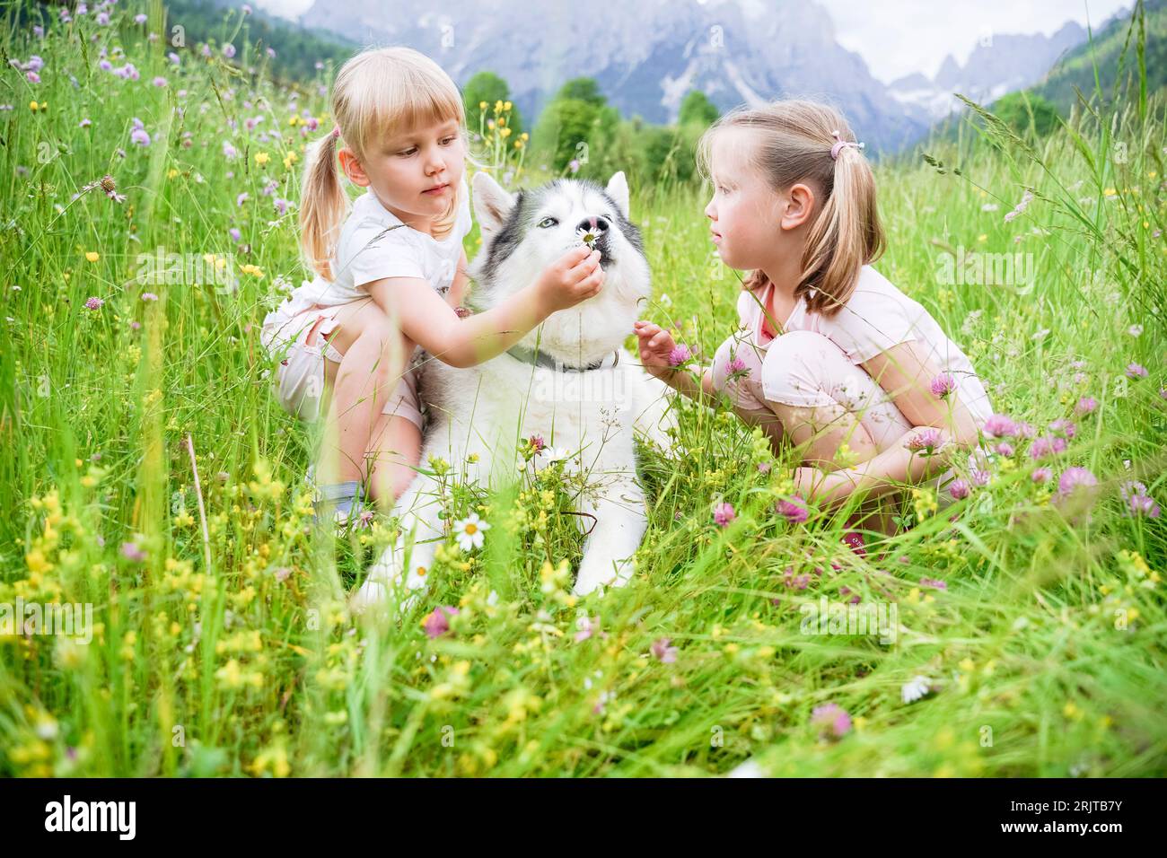 Girls spending leisure time with dog sitting on grass Stock Photo