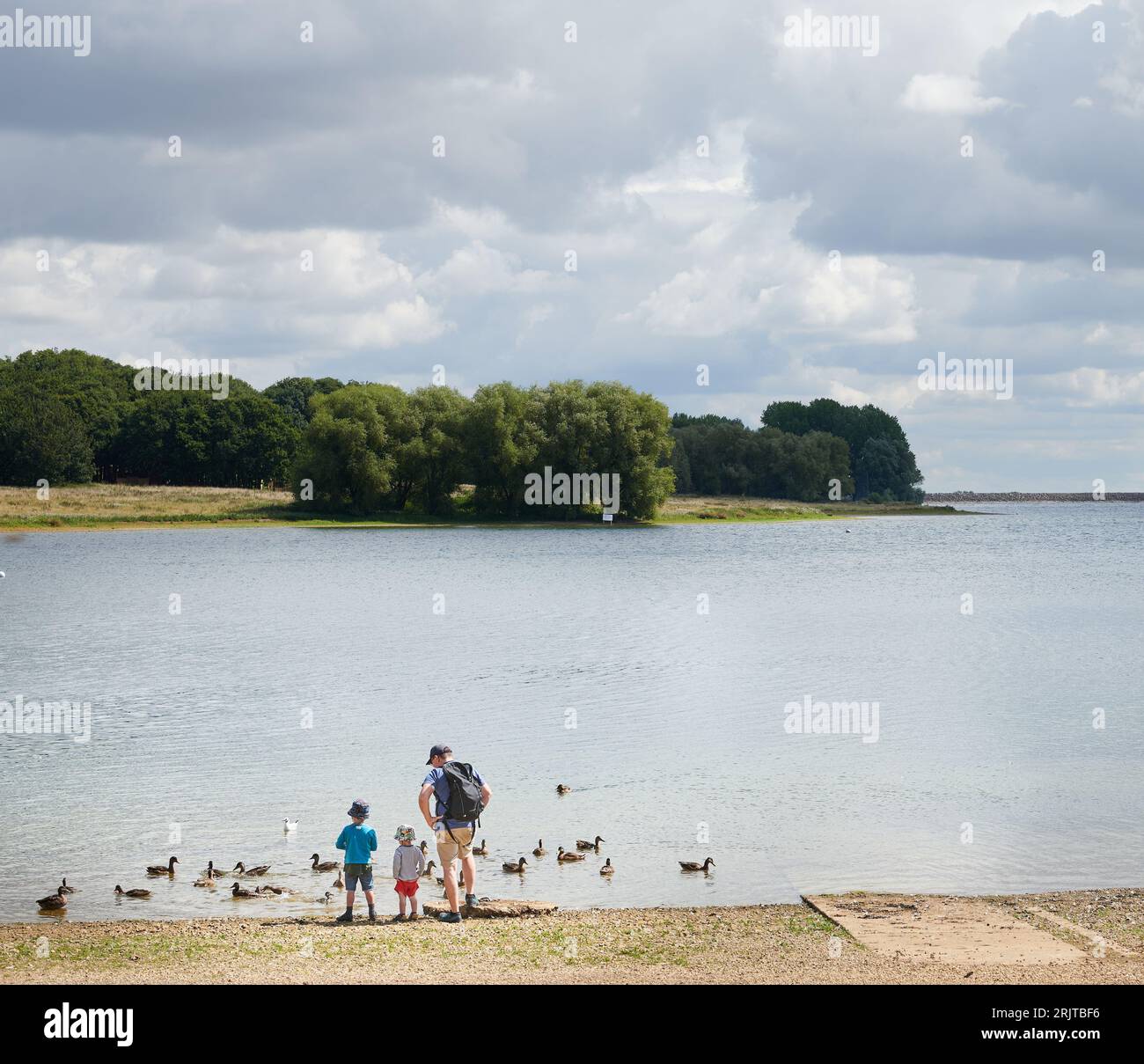 A family of father and two young sons stand at a lakeside watching ducks. Stock Photo