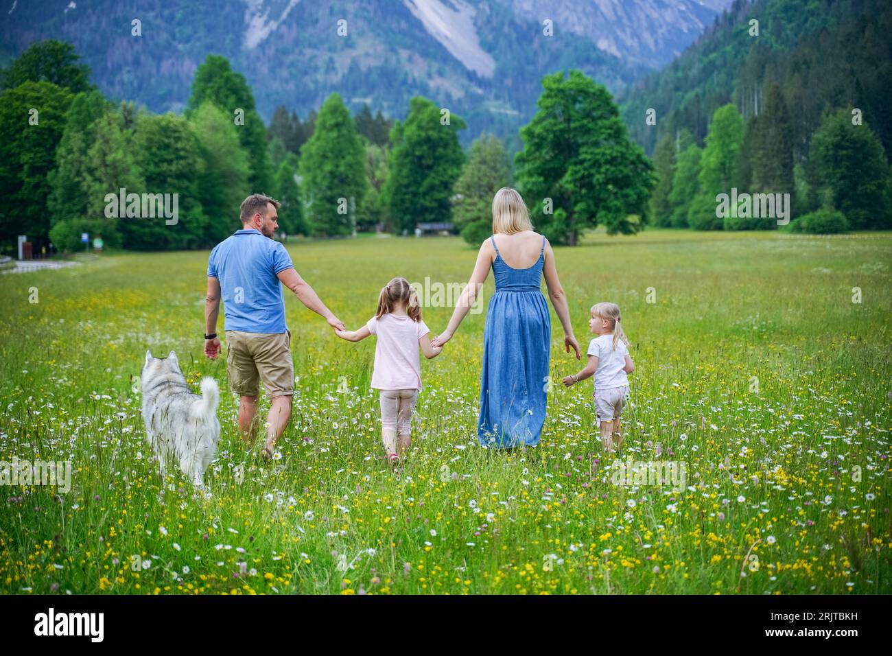 Family holding hands and walking together in meadow Stock Photo