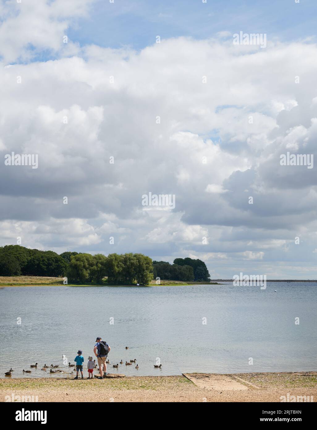 A family of father and two young sons stand at a lakeside watching ducks. Stock Photo