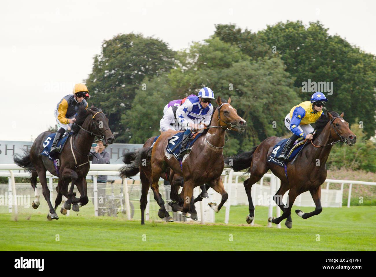 York, UK. 23rd Aug, 2023. Race horses and their jockeys galloping from the start during the Tattersalls Acomb Stakes at York Racecourse. Credit: Ed Clews/Alamy Live News. Stock Photo