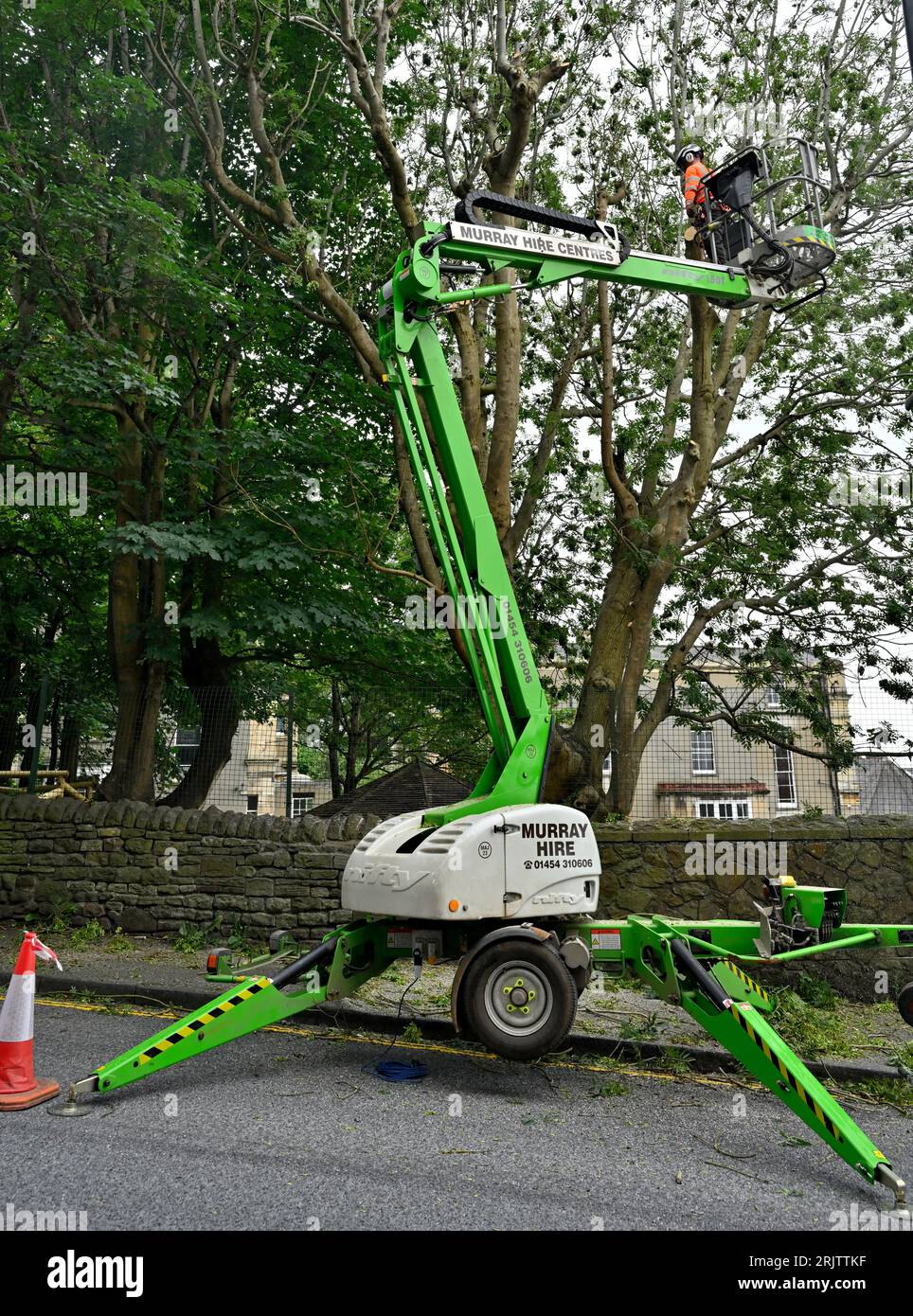 Tree surgeon using a “cherry picker” for trimming branches on ash tree