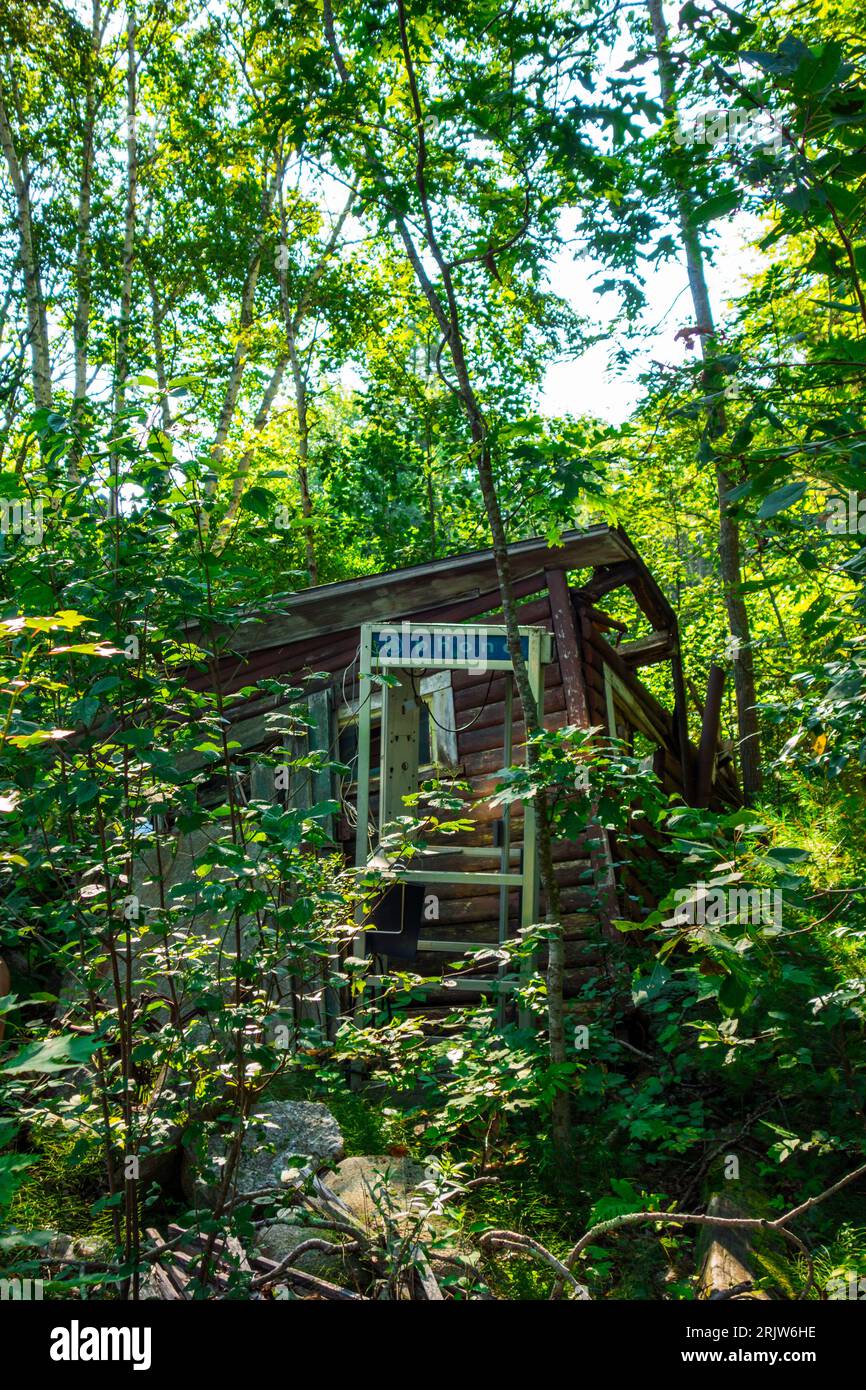 Old phone booth in forest hi-res stock photography and images - Alamy