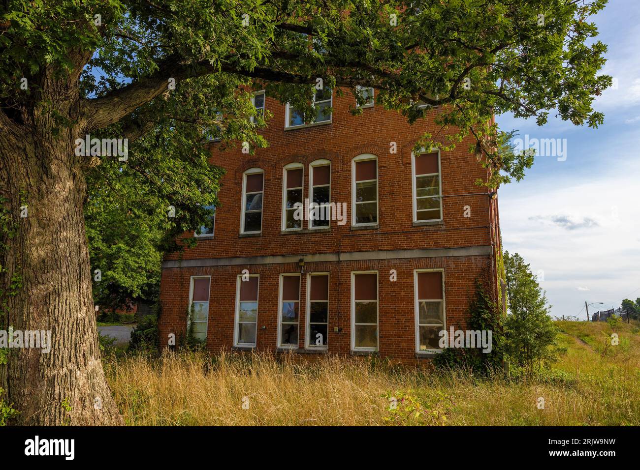 An abandoned brick building with broken windows and overgrown weed sits behind a tree under cloudy skies Stock Photo