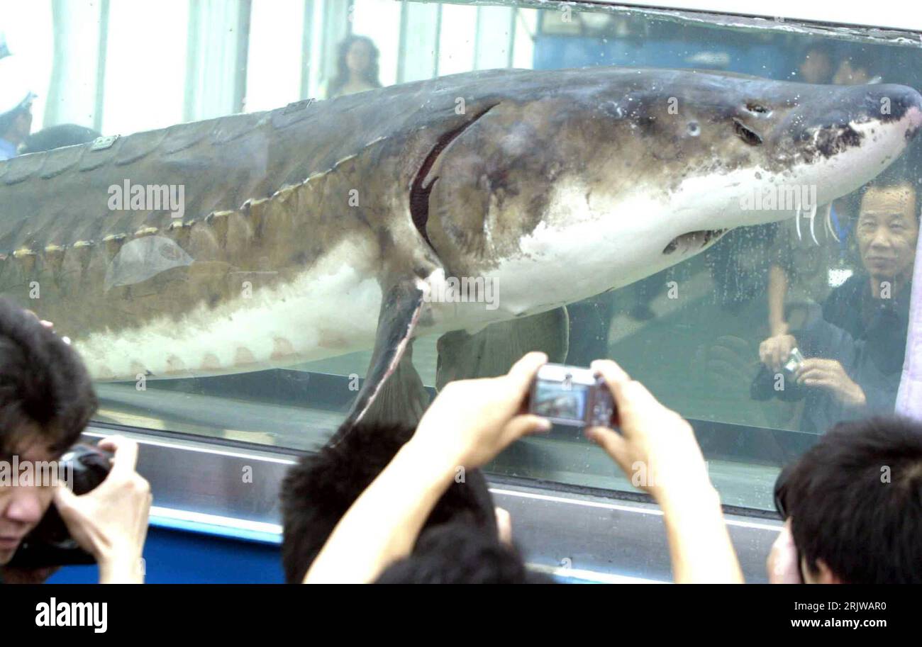 Bildnummer: 51934606 Datum: 17.06.2007 Copyright: imago/Xinhua Yangtse ...