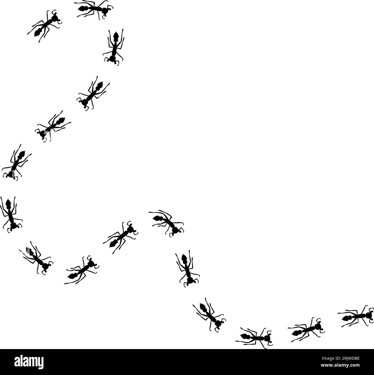 Ant trail illustration. Insect path to the home. Stock vector illustration isolated on white background in flat simple style. Stock Vector