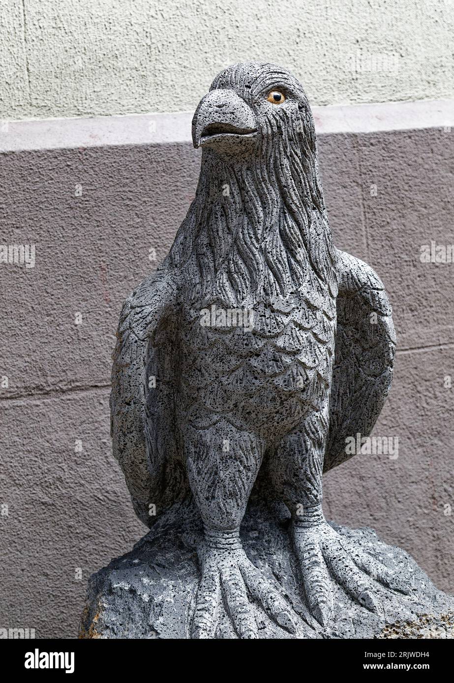 Raven edgar allen poe hires stock photography and images Alamy