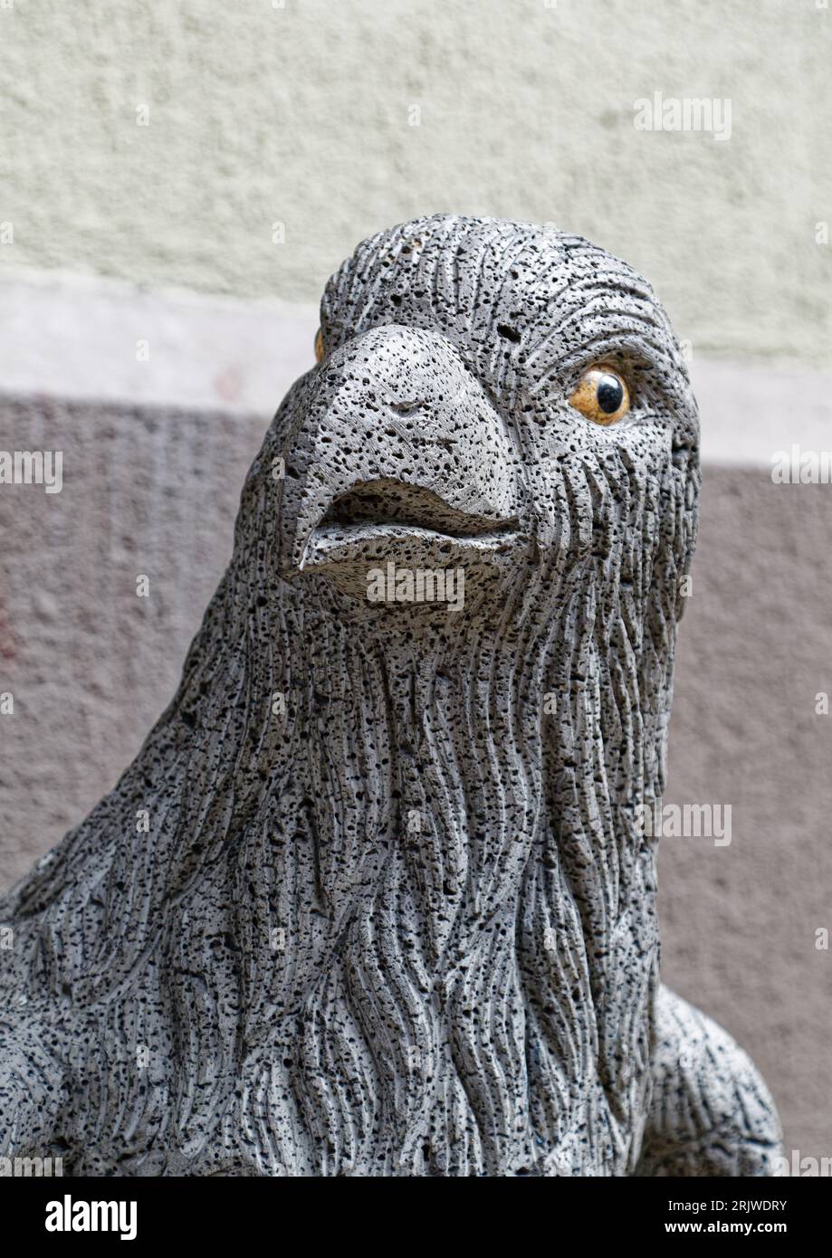 Raven edgar allen poe hires stock photography and images Alamy