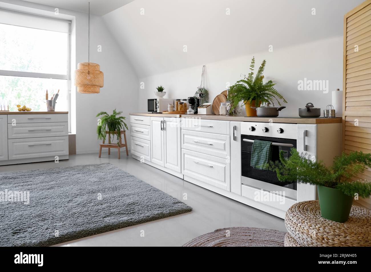 Interior of modern kitchen with white counters and houseplants Stock ...