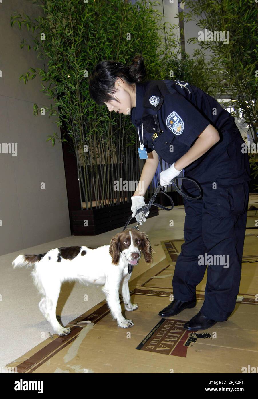 Bildnummer: 52120354  Datum: 04.09.2007  Copyright: imago/Xinhua Chinesische Hundeführerin mit Polizeihund beim World Economic Forum in Dalian- PUBLICATIONxNOTxINxCHN , Personen; 2007, Dalian, Polizist, Polizistin, Polizeieinsatz, Einsatz, Hund, Hunde, Hundestaffel, Hundeführer, Polizeihund, Polizeihunde, Sicherheit, Sicherheitsmaßnahme, Sicherheitsmaßnahmen,; , hoch, Kbdig, Einzelbild, China,  , o0 Staat, Polizei Stock Photo