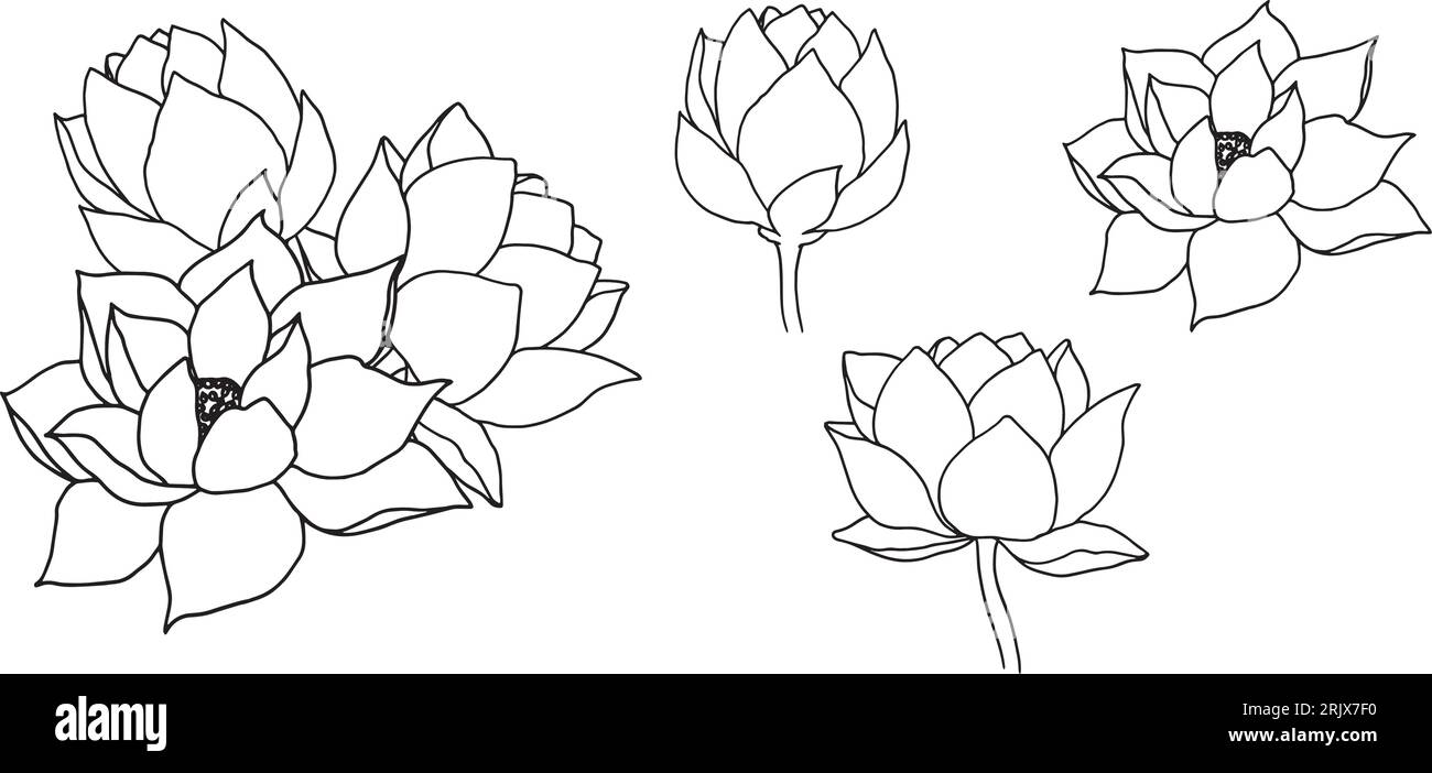 Composition with wind lotus flowers and buds. hand drawn black line art ...