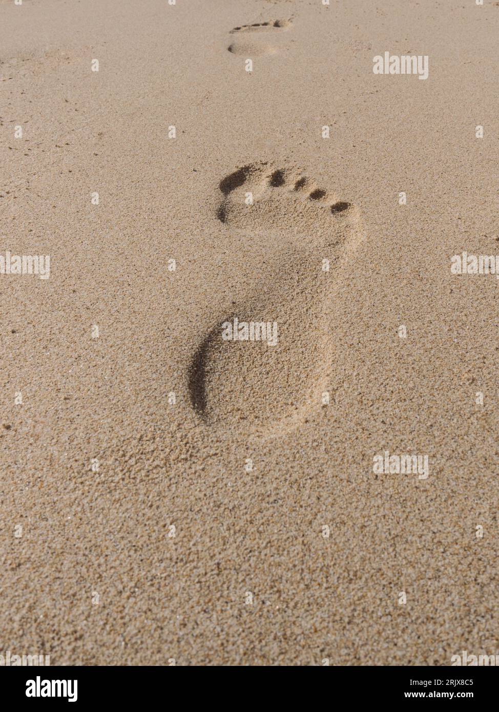 Single footprint in sand hi-res stock photography and images - Alamy, image size:974x1390