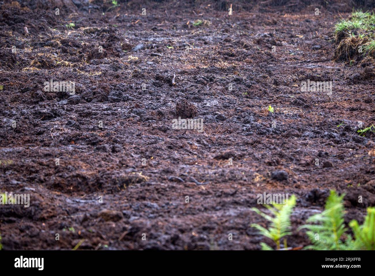Good humus hi-res stock photography and images - Alamy