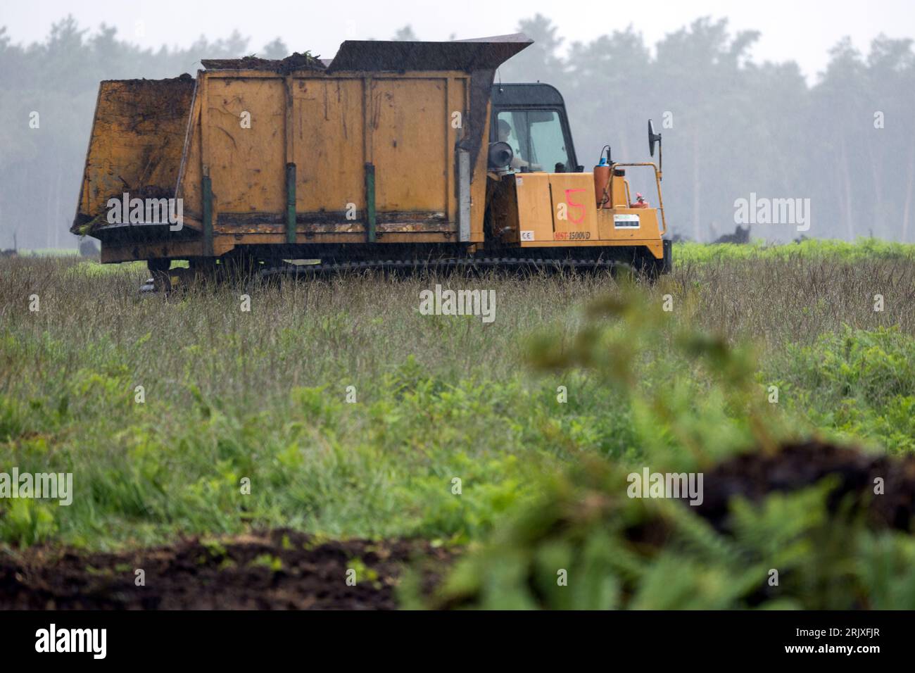 Sanitz, Germany. 31st July, 2023. In the rain, a caterpillar tractor
