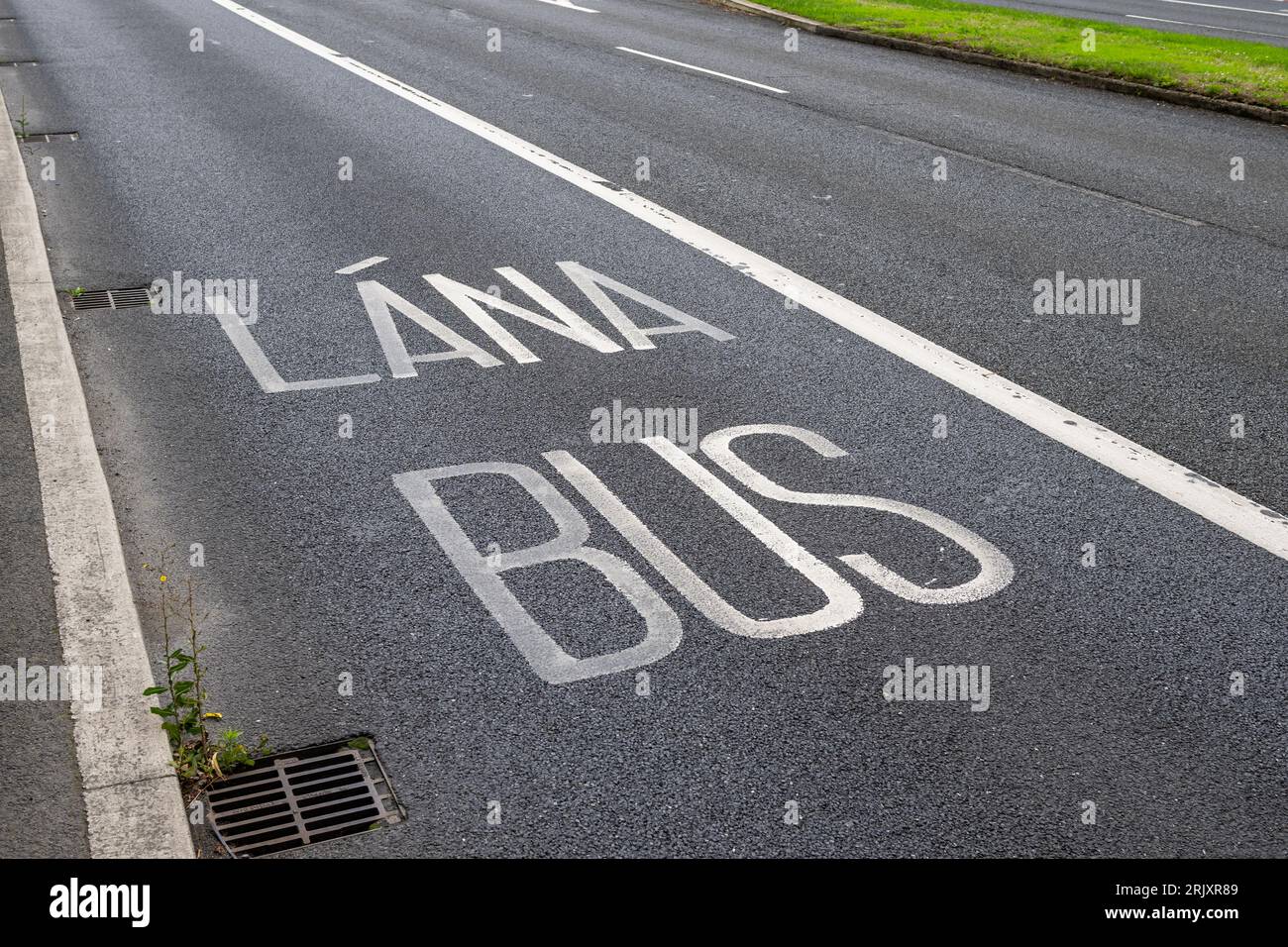 Bus Lane/Bus Lána in Dublin, Ireland. Stock Photo