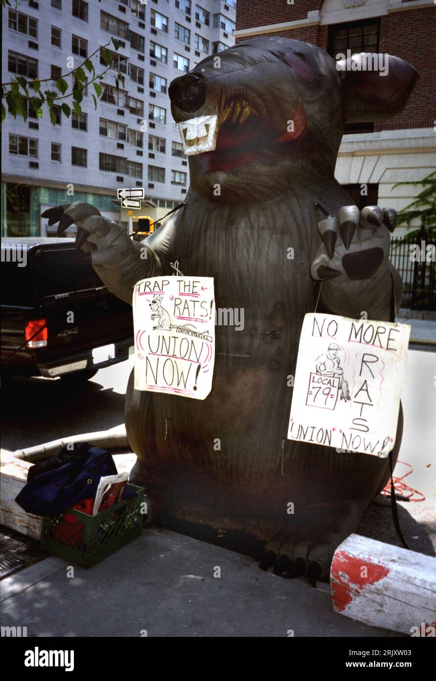 An inflated rat figure is placed near a construction site in New York City with signs protesting the hiring of nonunion labor. Stock Photo