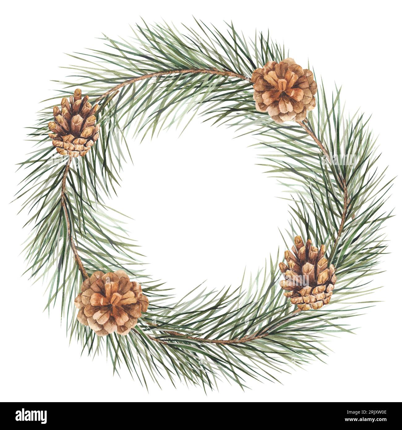 Watercolor wreath illustration with pine branch and cones. Isolated ...