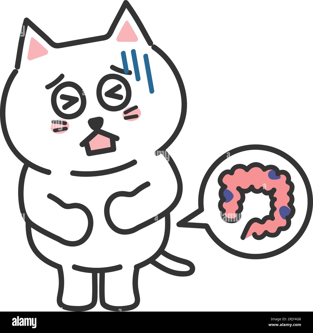 cartoon-white-cat-having-lower-abdominal-pain-vector-illustration