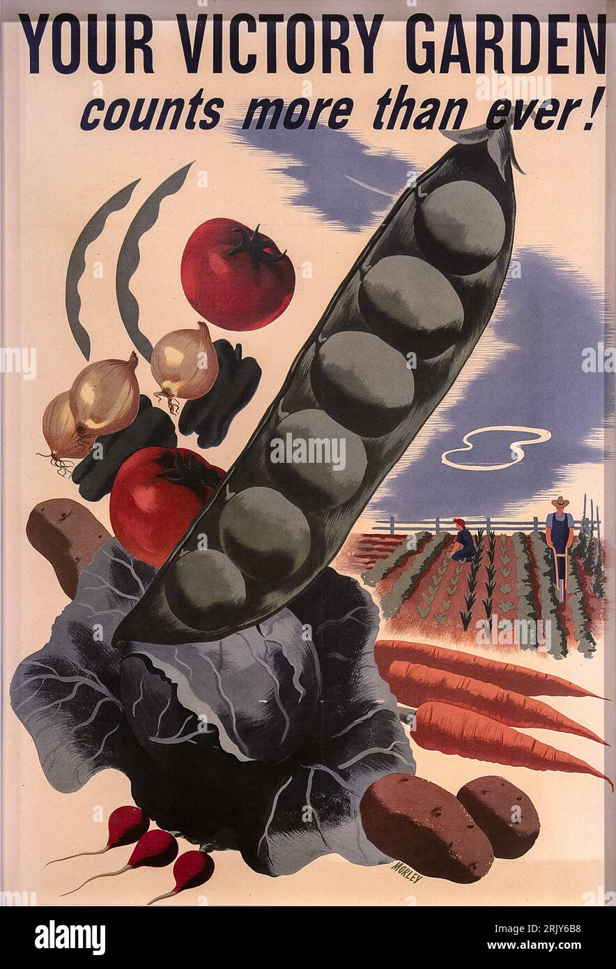 Your victory garden counts more than ever war poster Stock Photo - Alamy