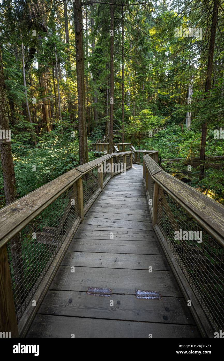 Walkway in the Capilano Suspension Bridge Park in Vancouver, Canada