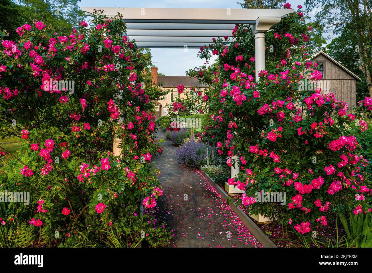 Rose Arbor and Garden The Florence Griswold Museum   Old Lyme, Connecticut, USA Stock Photo