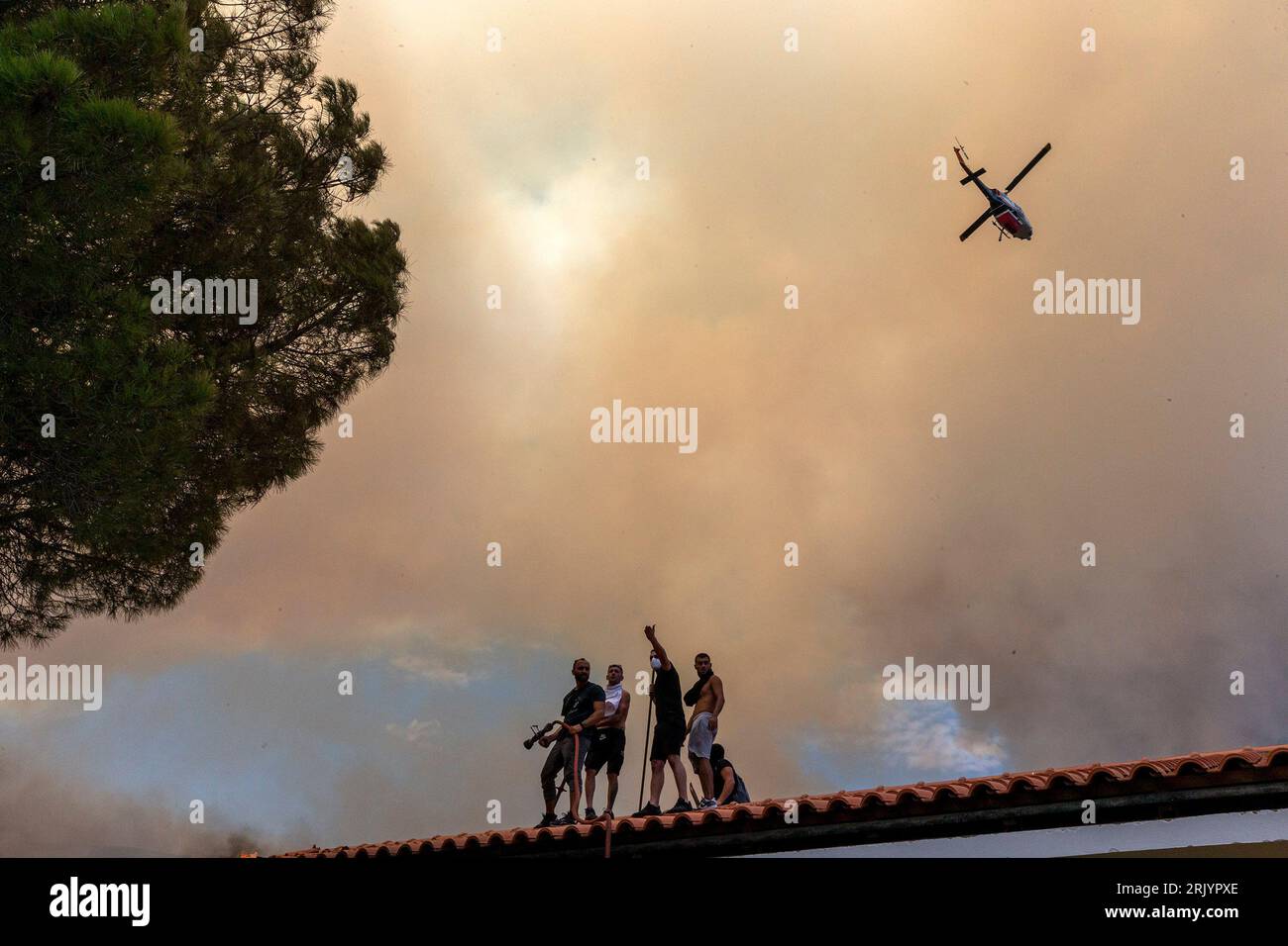 Parnitha park athens hi-res stock photography and images - Alamy