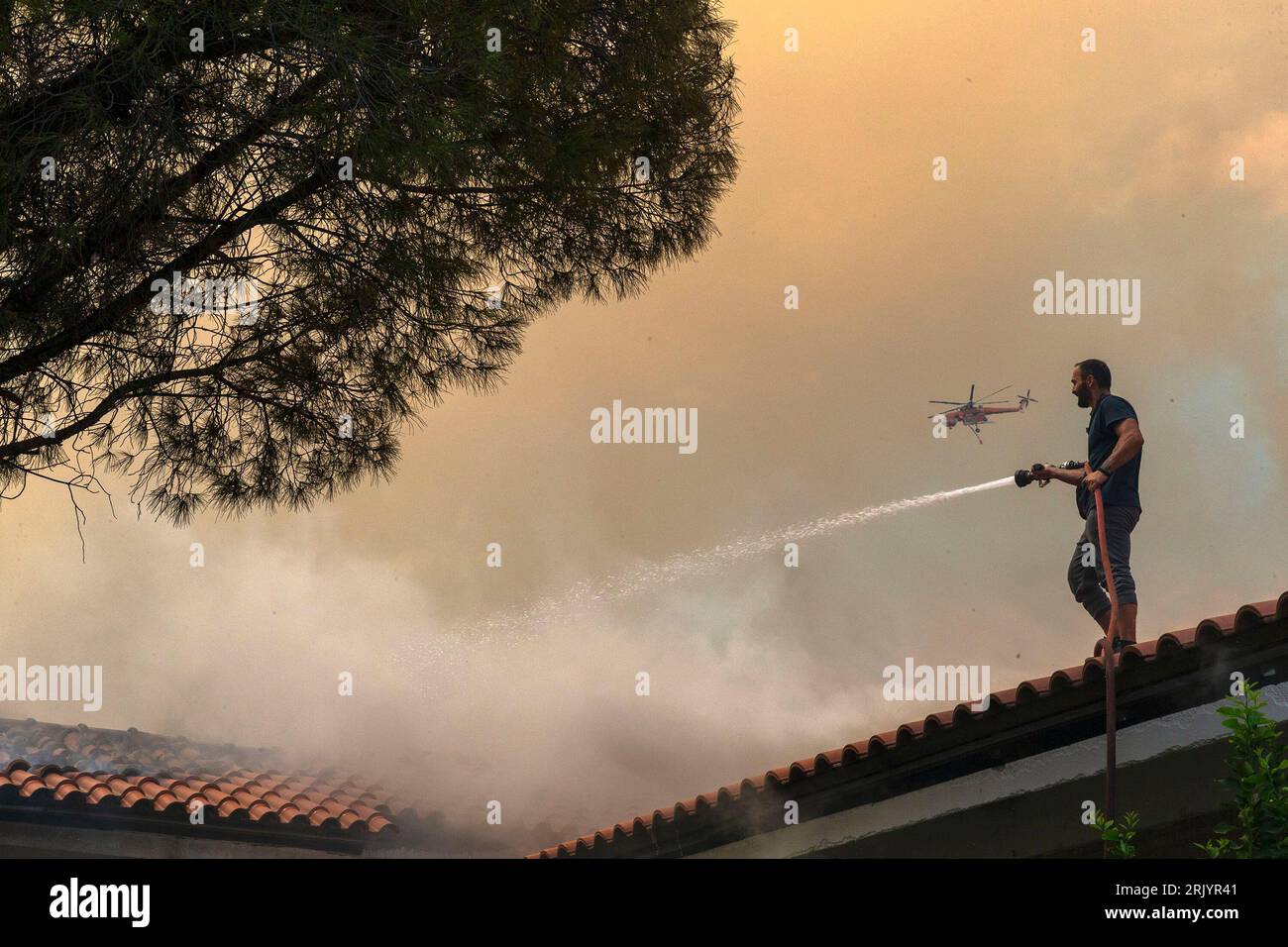 Parnitha park athens hi-res stock photography and images - Alamy